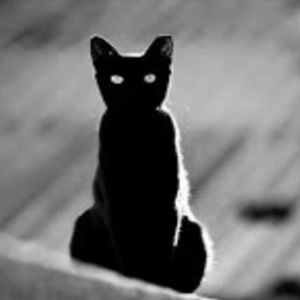 Meet your Posher, Marcos